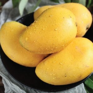 Banganapalli Mango (Export Quality)