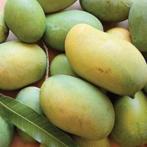 Chinna Rasalu Mango (Premium Organic)