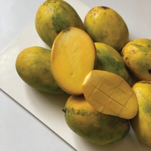 Imam Pasand (Himayat) Mango