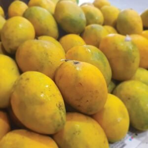 Kothapalli Kobbari Mango (Rare Variety)